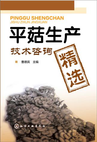 平菇生產技術咨詢精選與全程技術轉讓指南